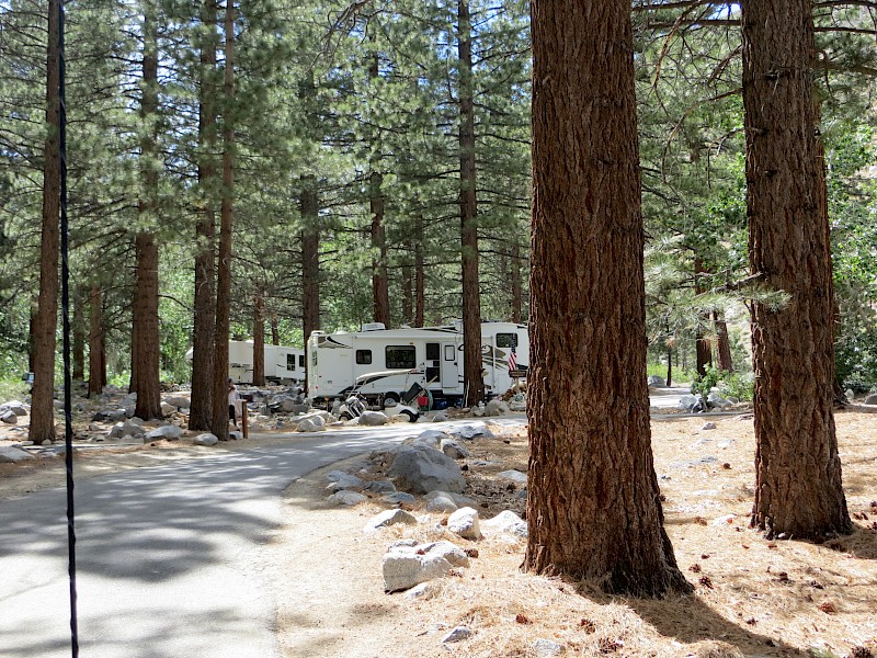 Park Image 3