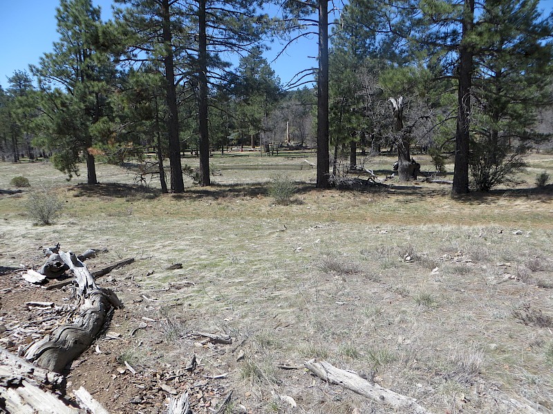 Park Image 8