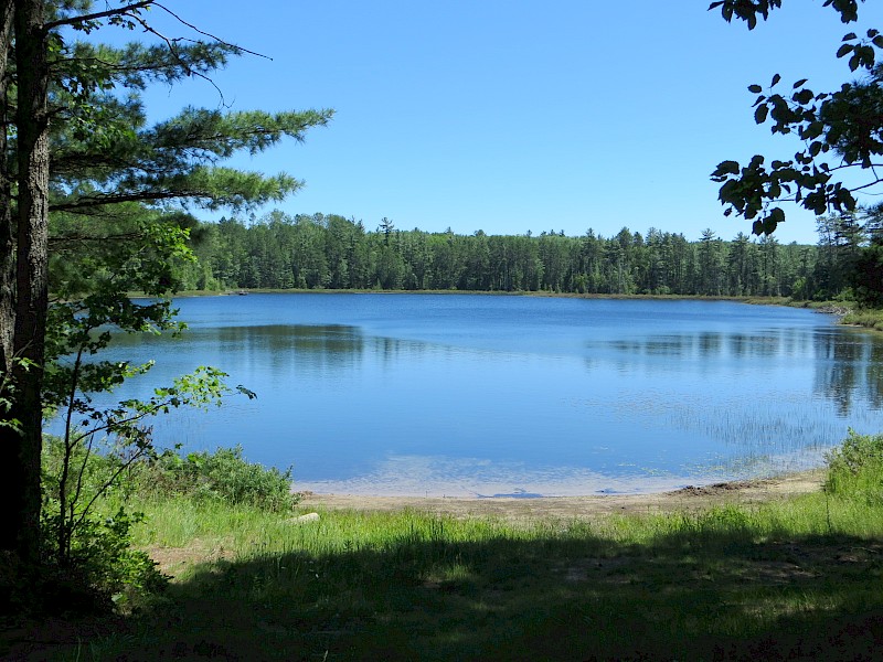 Park Image 4