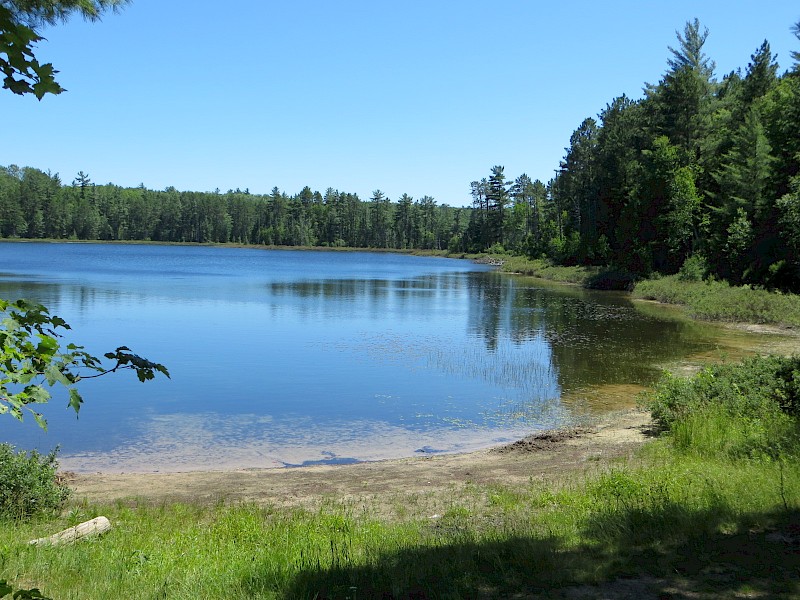 Park Image 3