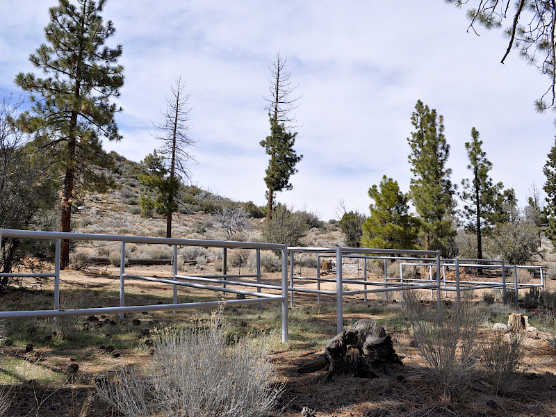 Park Image 2