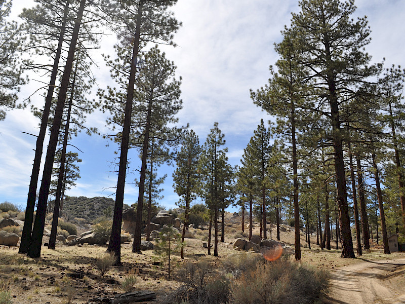 Park Image 4