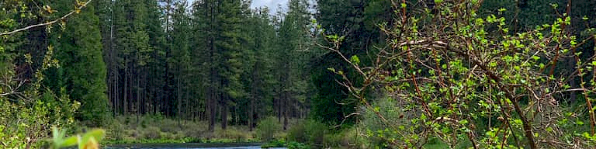 Cultus Lake Campground