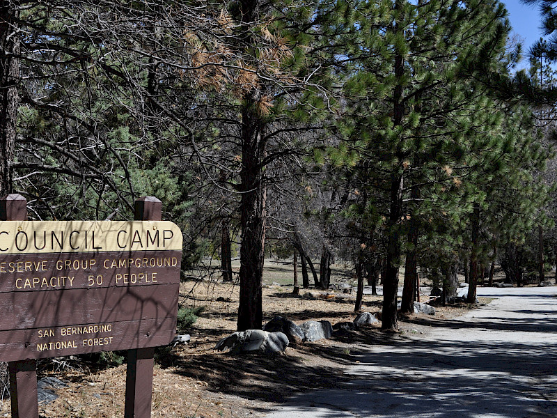 Park Image 2