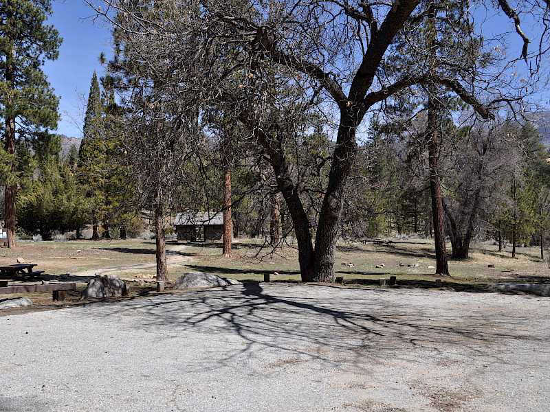 Park Image 3